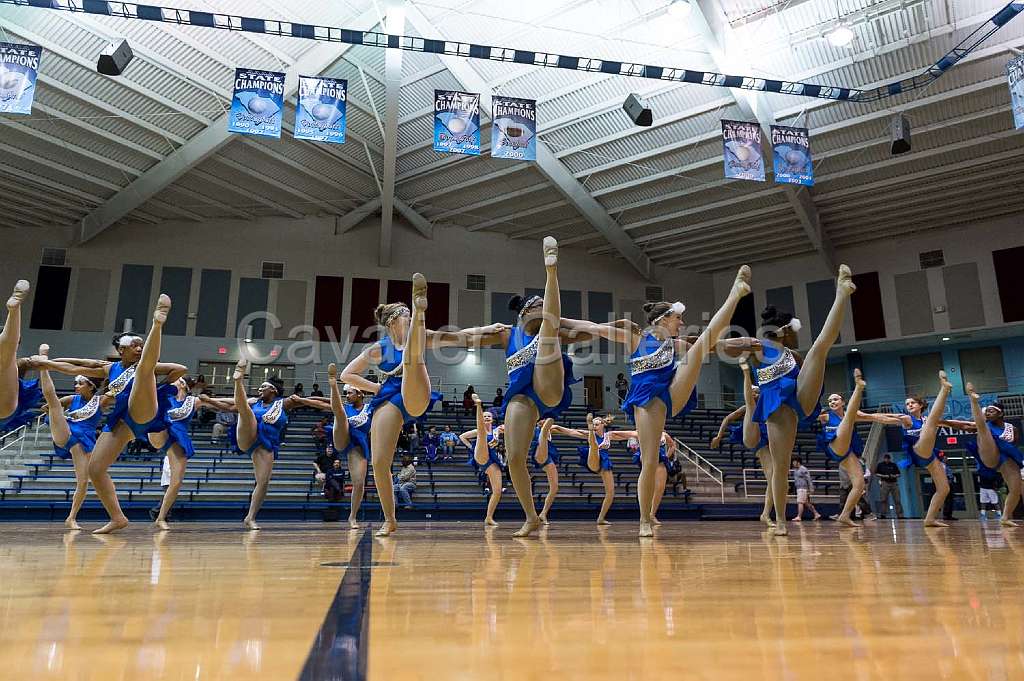 Blue Belles Halftime 50.jpg